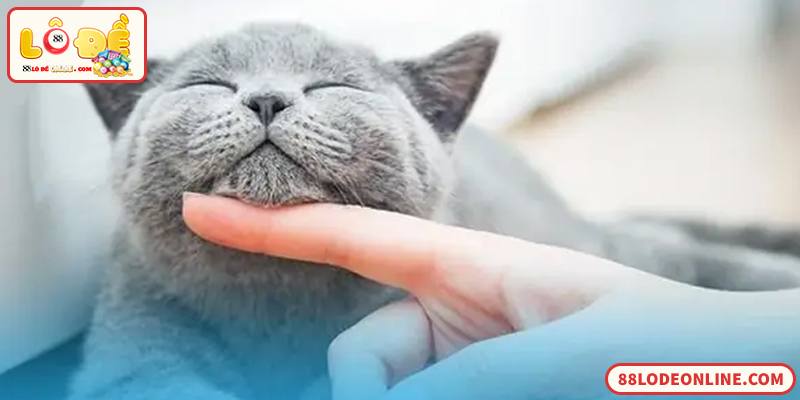 Giải Mã Giấc Mơ Lô Đề Chính Xác Nhất Cho Người Chơi Việt